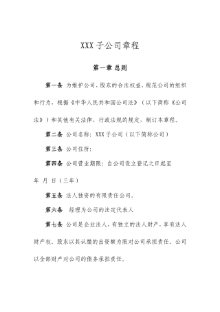 子公司公司章程