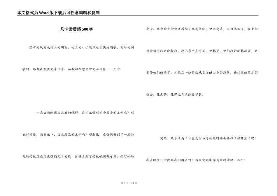 凡卡读后感500字_第1页