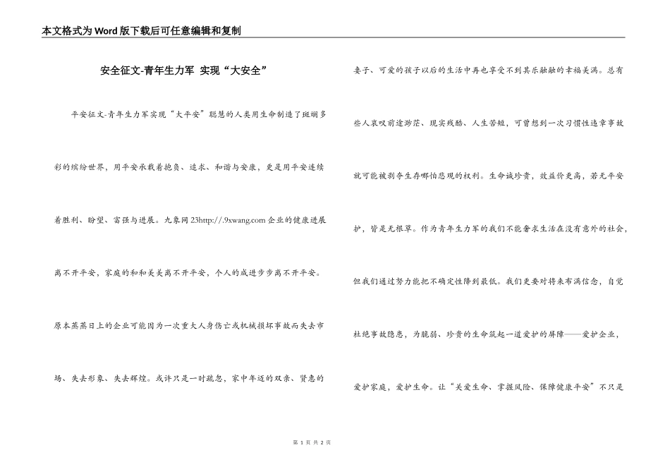 安全征文-青年生力军 实现“大安全”_第1页