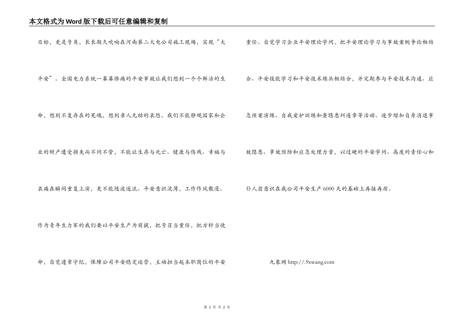 安全征文-青年生力军 实现“大安全”_第2页