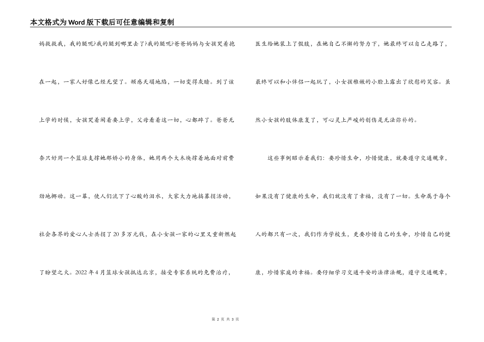 小学生演讲稿-红灯短暂而生命长久_第2页