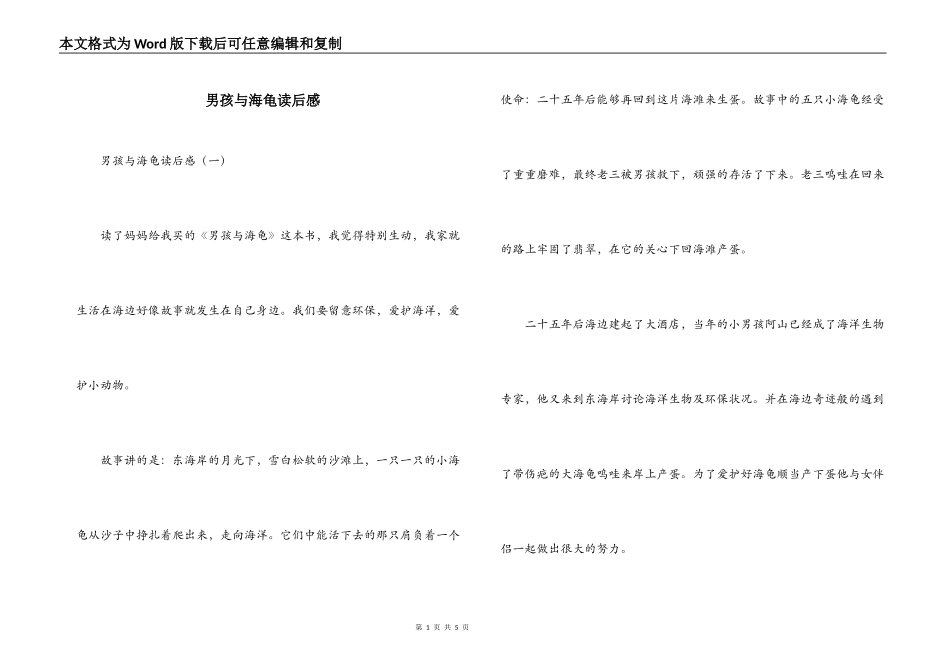 男孩与海龟读后感_第1页