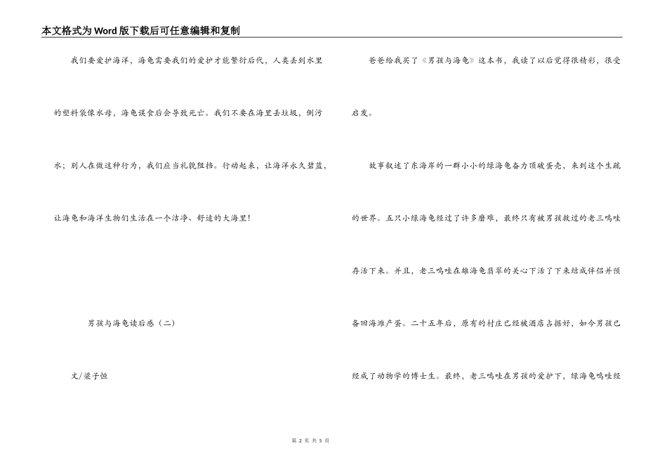 男孩与海龟读后感_第2页