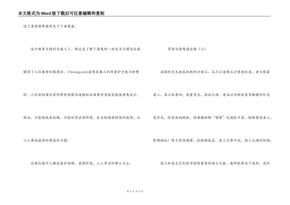 男孩与海龟读后感_第3页