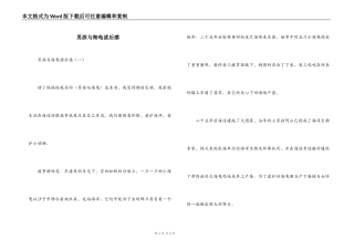 男孩与海龟读后感