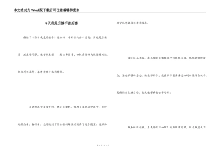 今天我是升旗手读后感