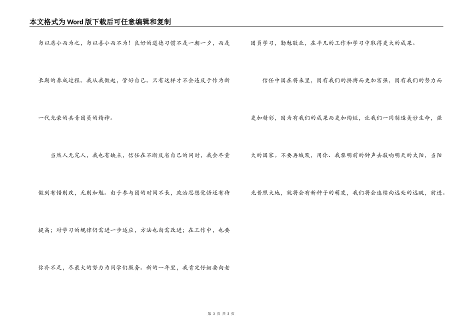 团员自我鉴定1000字_第3页
