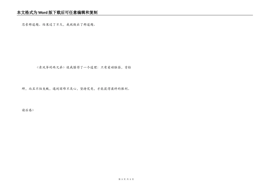 《卖风筝的两兄弟》读后感_第3页
