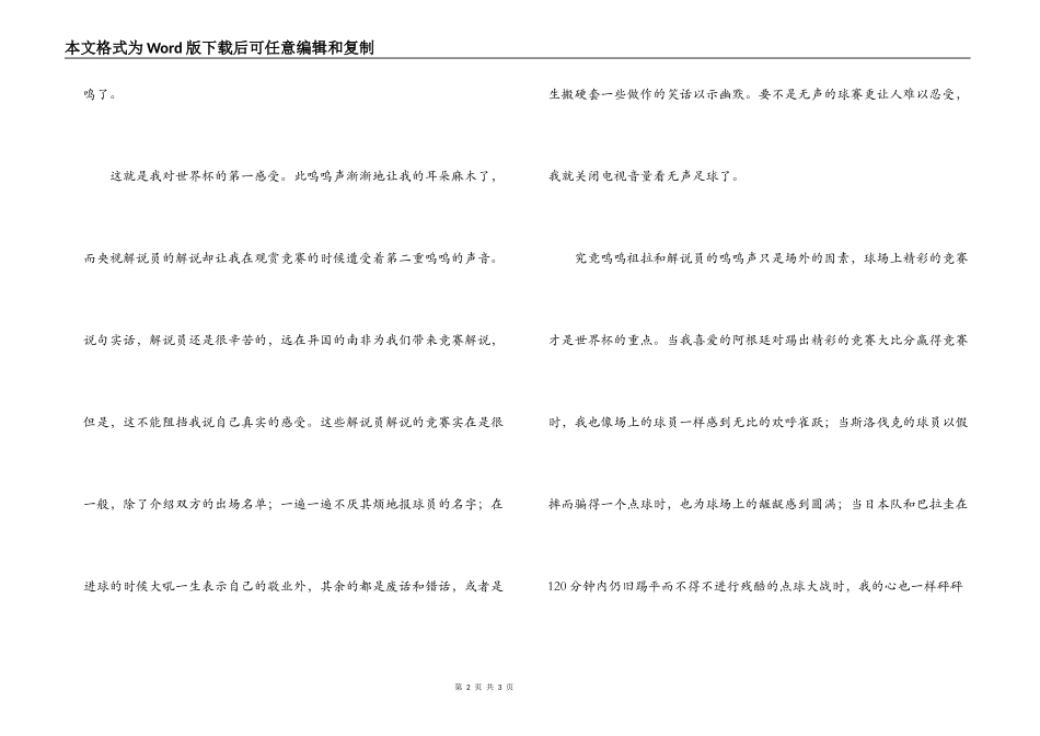 看南非世界杯有感_第2页