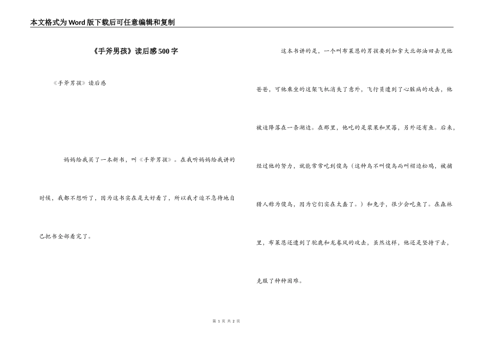 《手斧男孩》读后感500字_第1页