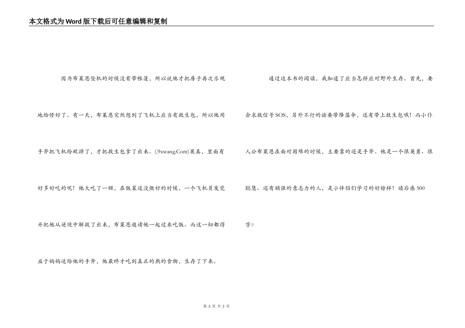 《手斧男孩》读后感500字_第2页