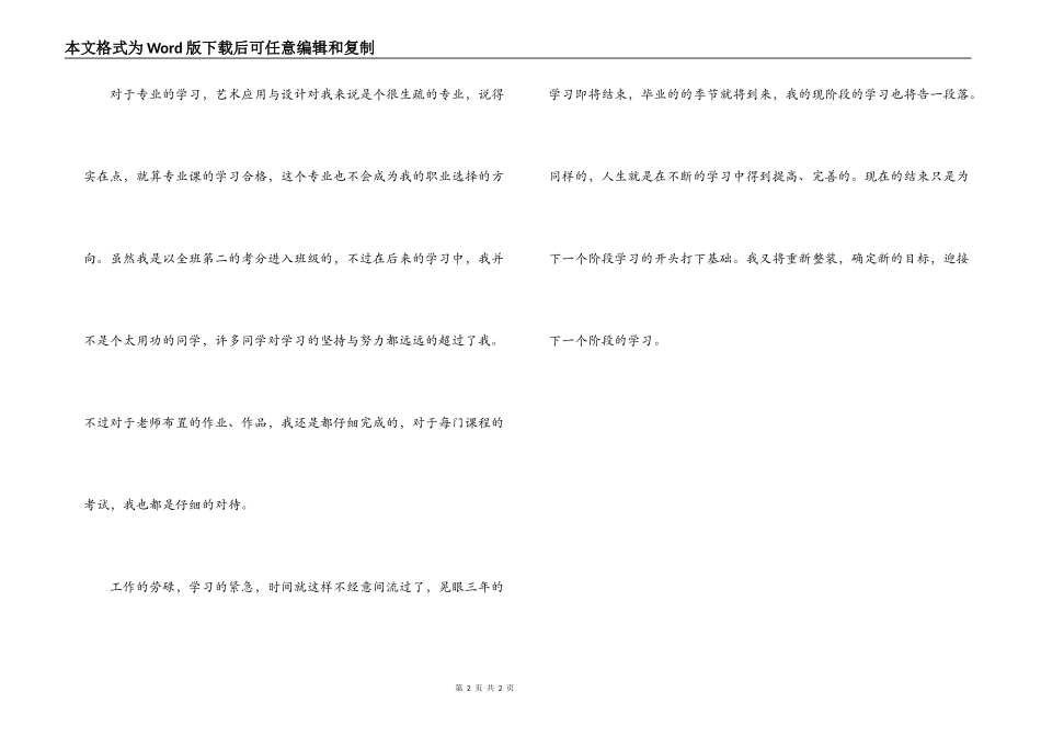 艺术应用与设计自我评价_第2页