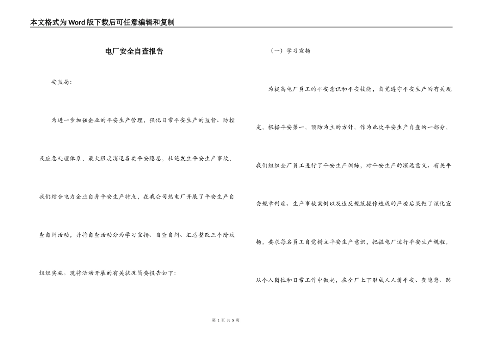 电厂安全自查报告_第1页