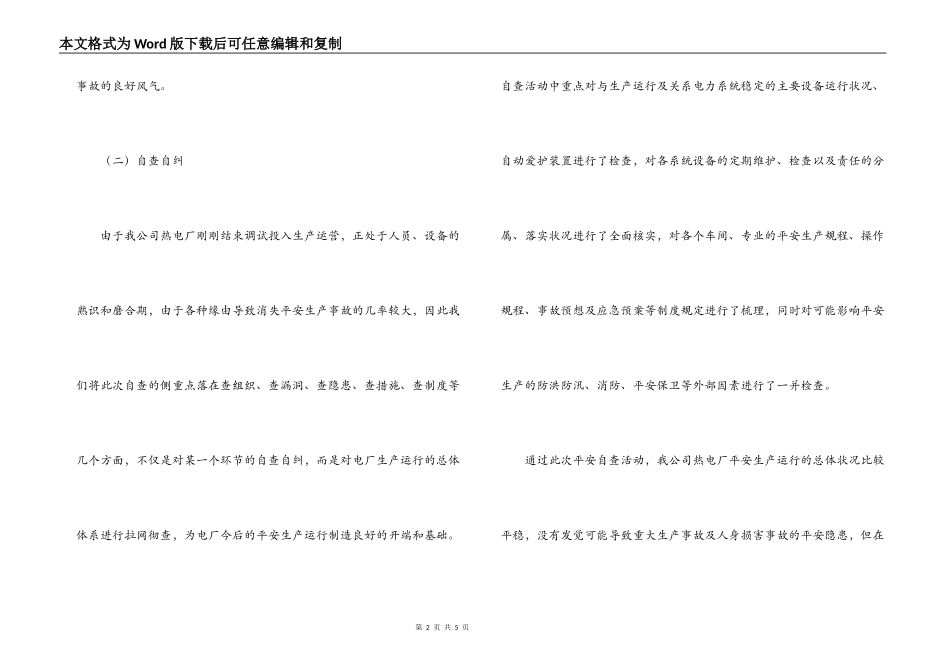 电厂安全自查报告_第2页