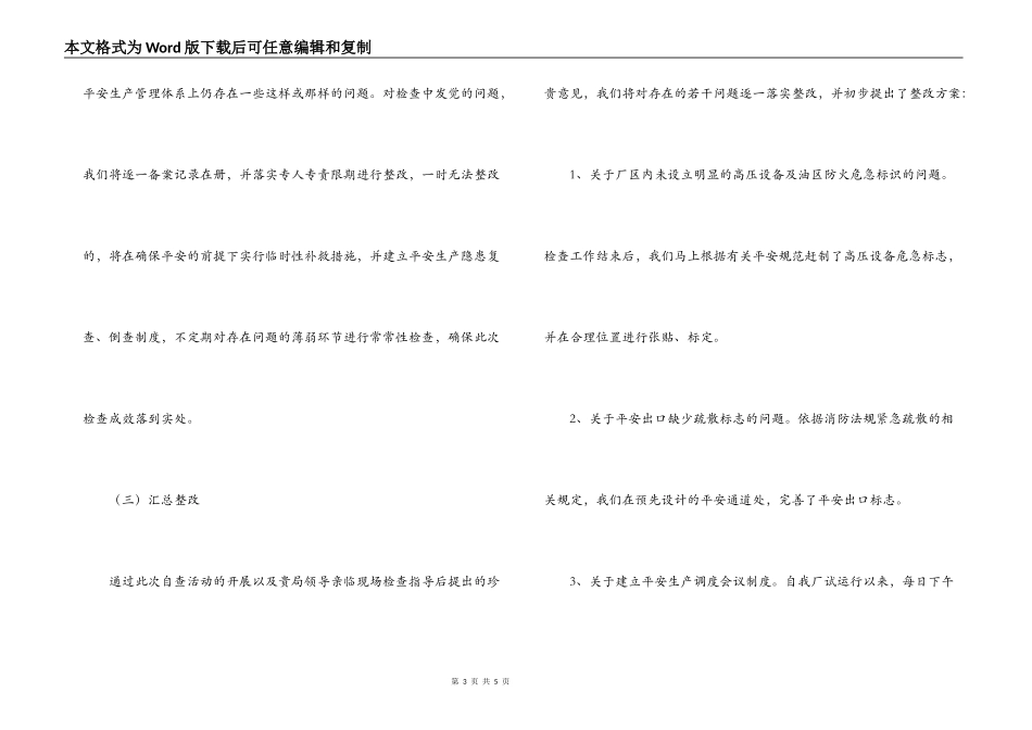 电厂安全自查报告_第3页