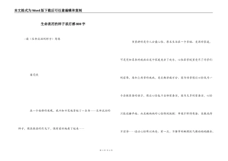 生命流泪的样子读后感800字