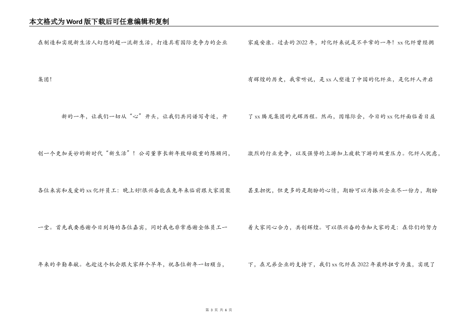 公司董事长新年致辞_第3页