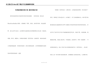 宅男星球演员表介绍 演员详细介绍