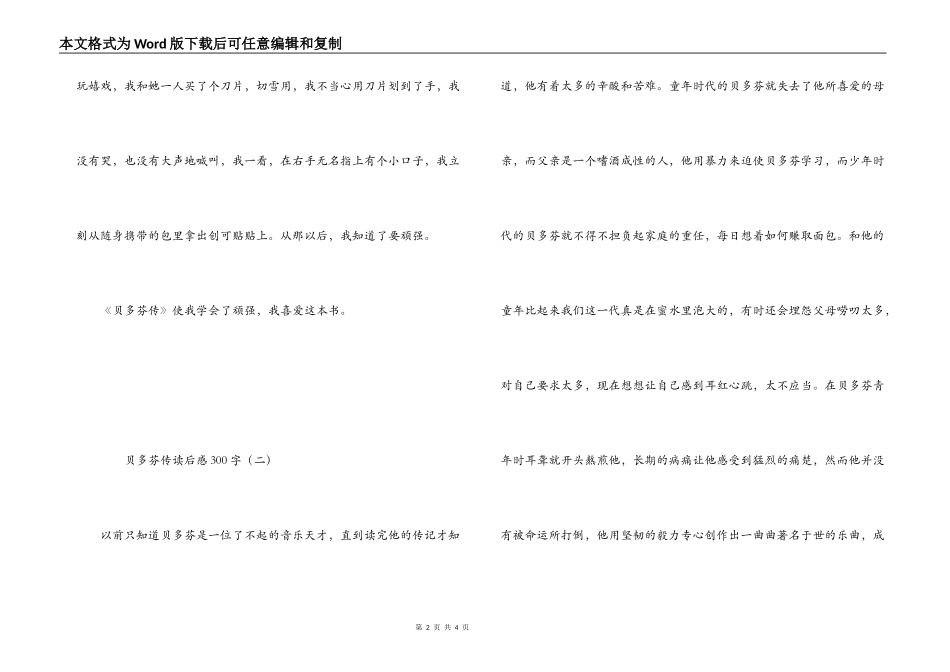 贝多芬传读后感300字_第2页