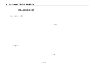 微型企业创业投资计划书