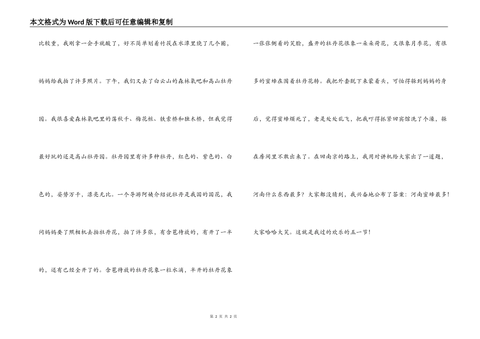 五一见闻日记_第2页