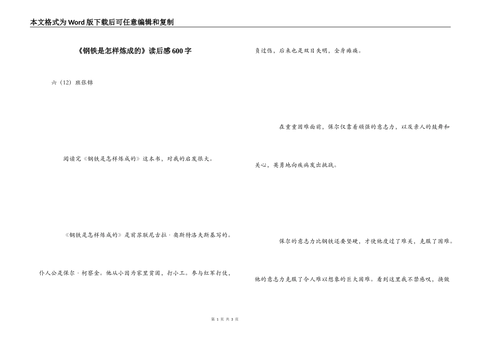 《钢铁是怎样炼成的》读后感600字_第1页