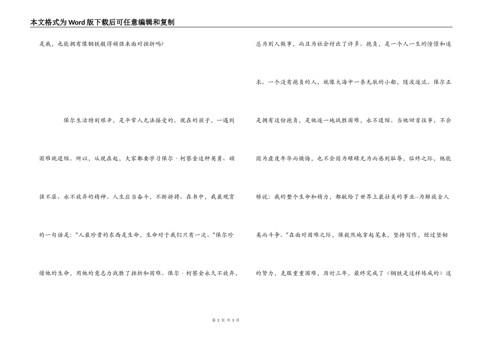 《钢铁是怎样炼成的》读后感600字_第2页