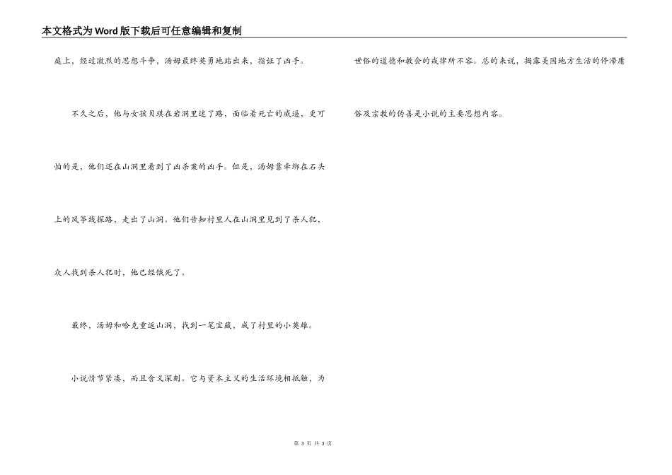 汤姆索亚历险记主要内容100字_第3页