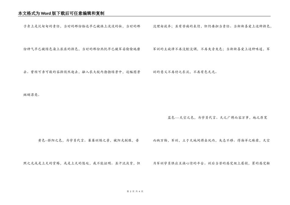 军训，色彩之谜_第2页