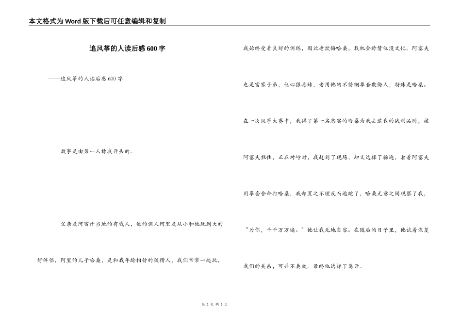 追风筝的人读后感600字_第1页