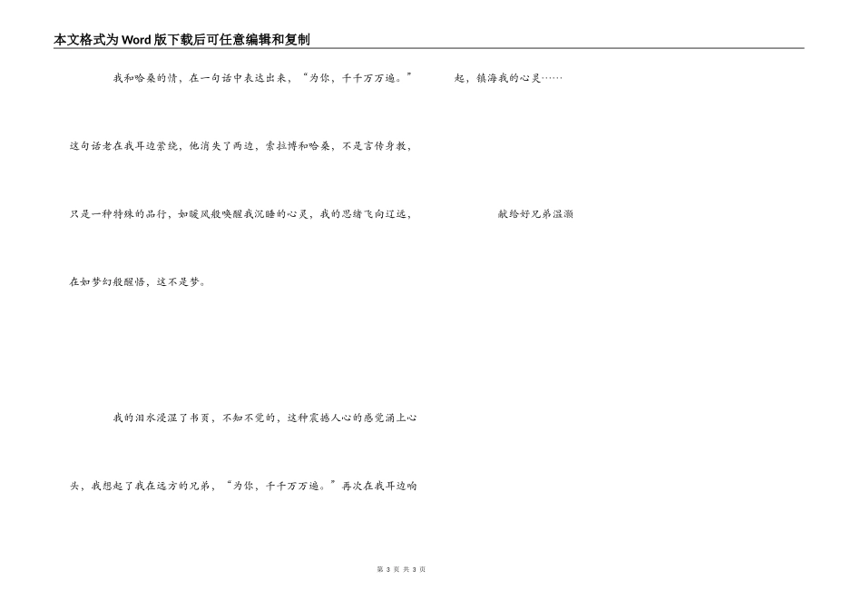 追风筝的人读后感600字_第3页