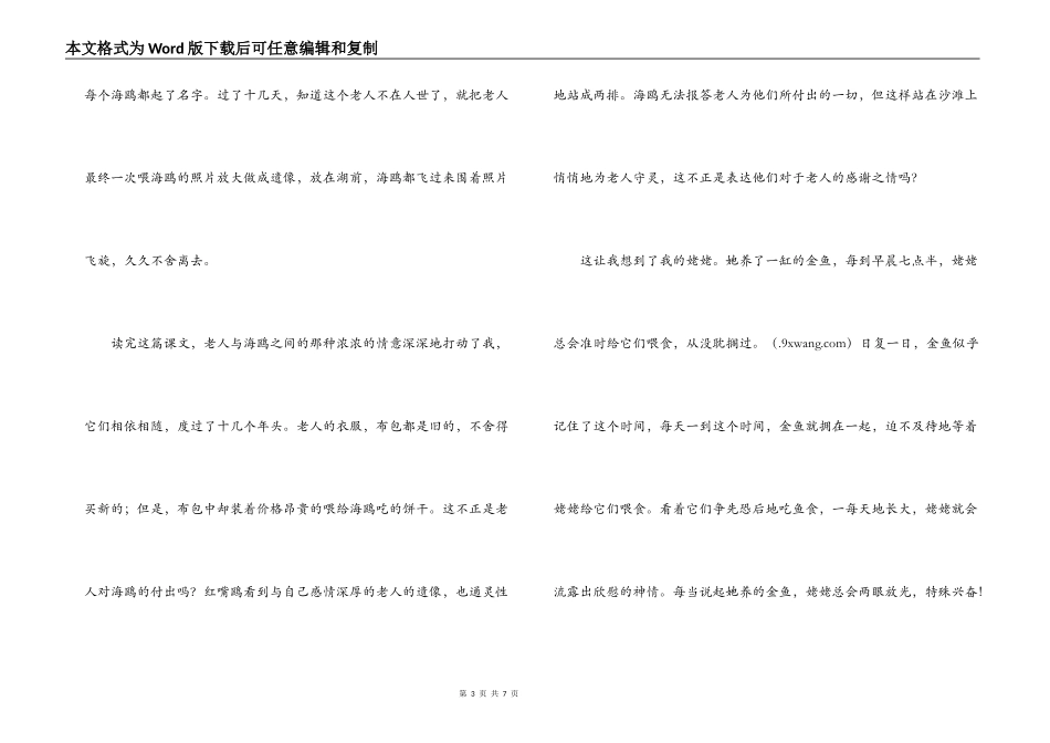 老人与海鸥读后感500字_第3页