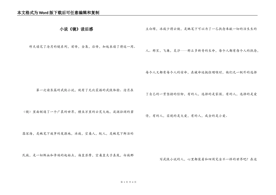小说《镜》读后感_第1页
