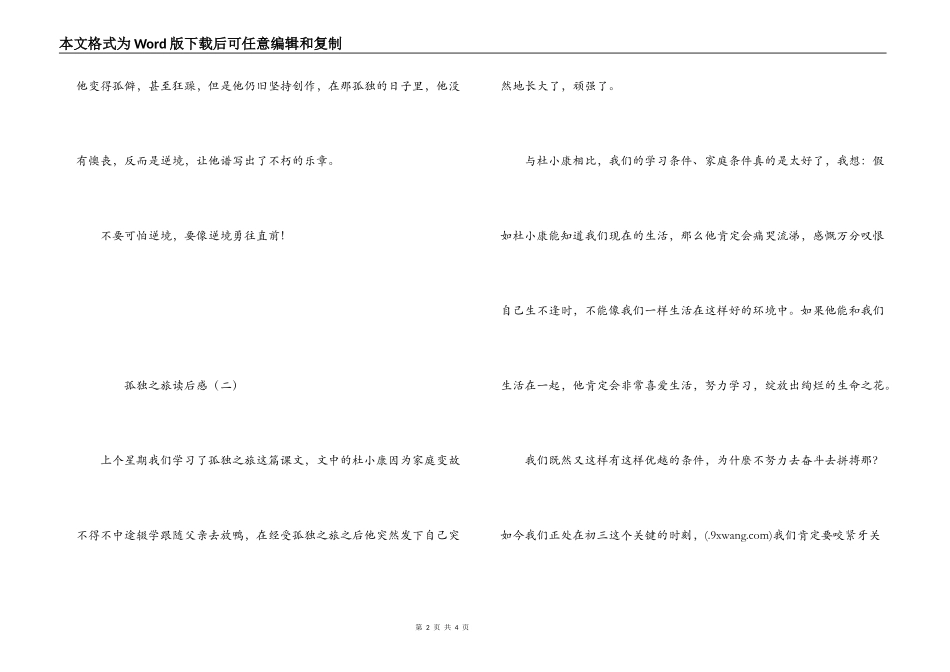 孤独之旅读后感_第2页