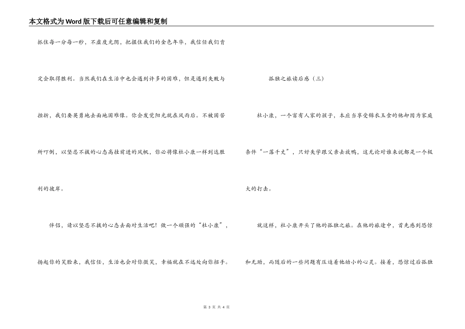 孤独之旅读后感_第3页