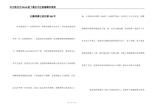 红飘带狮王读后感500字