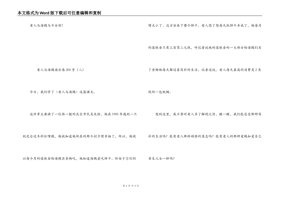老人与海鸥读后感200字_第2页