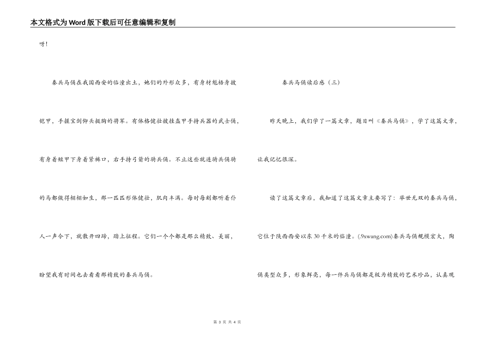 秦兵马俑读后感_第3页