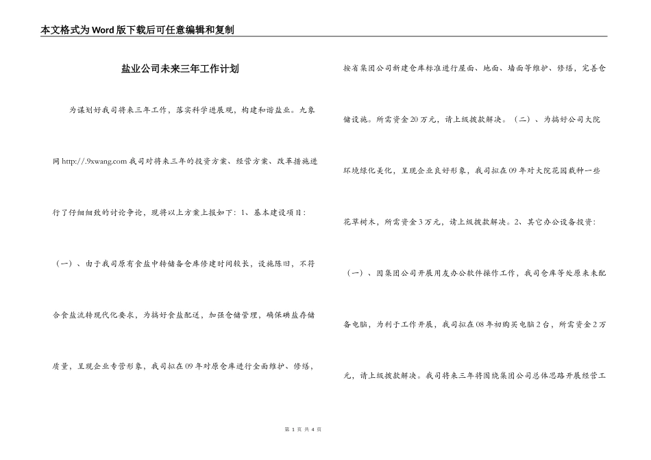 盐业公司未来三年工作计划_第1页