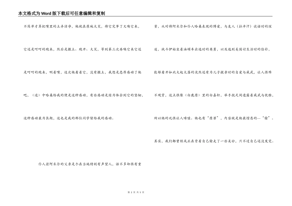 《追风筝的人》观后感_第2页