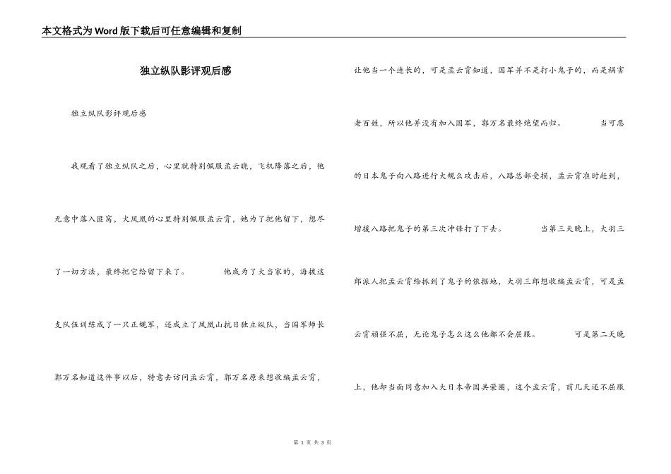 独立纵队影评观后感_第1页
