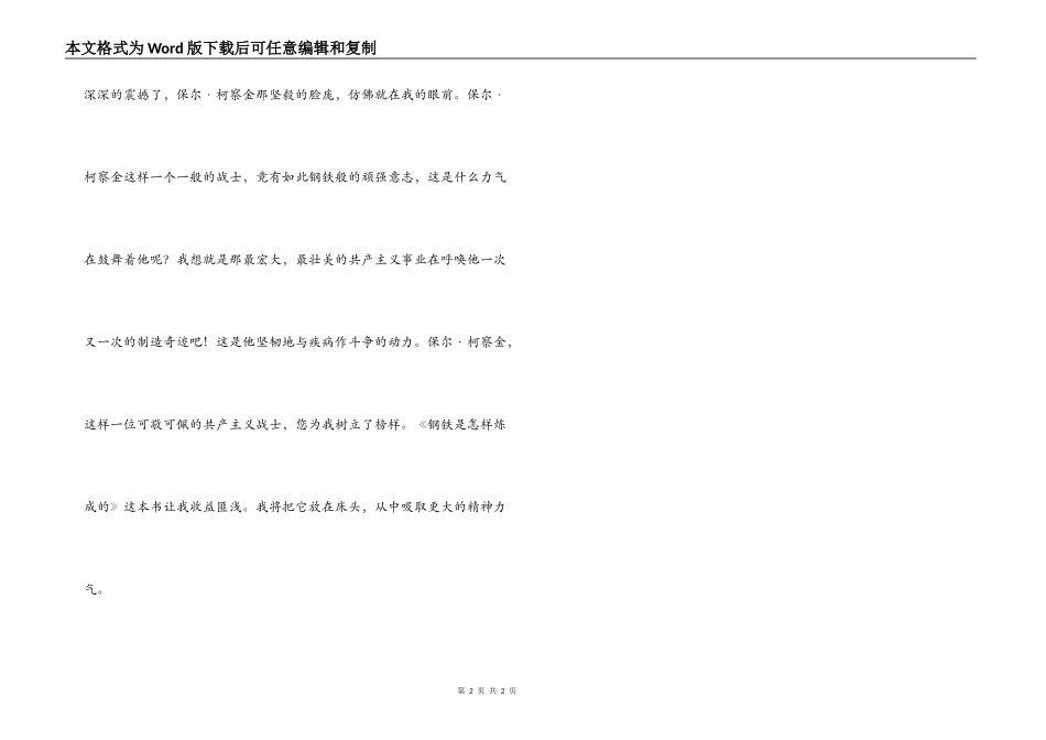 读《钢铁是怎样炼成的》有感_第2页