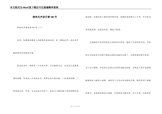 柳林风声读后感500字