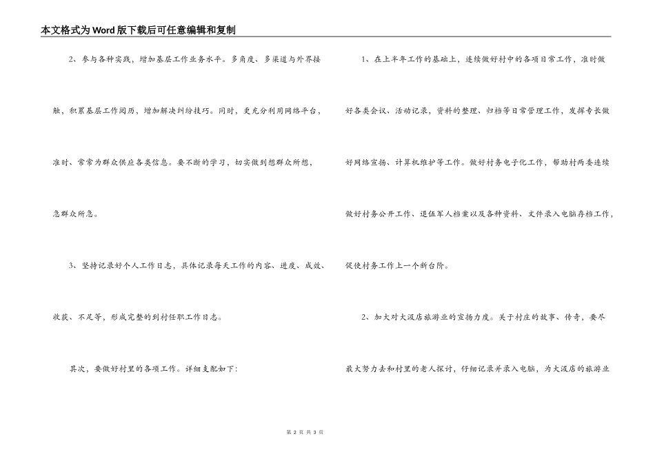 2022年村主任助理工作计划_第2页