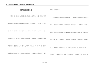 野外拓展训练心得