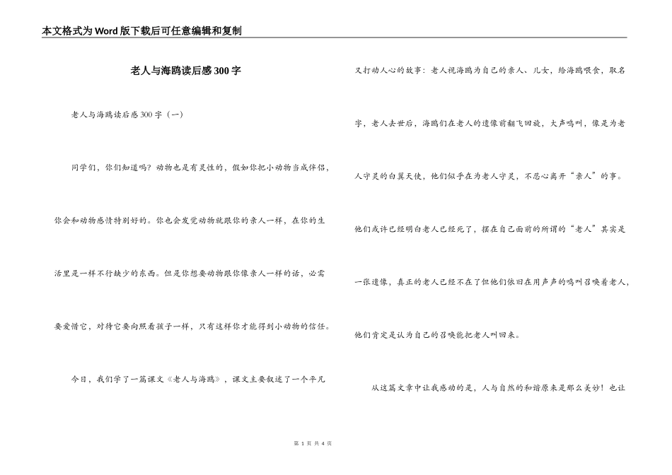 老人与海鸥读后感300字_第1页