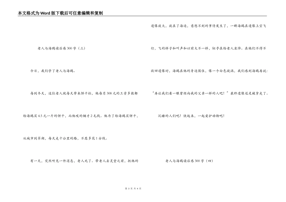 老人与海鸥读后感300字_第3页