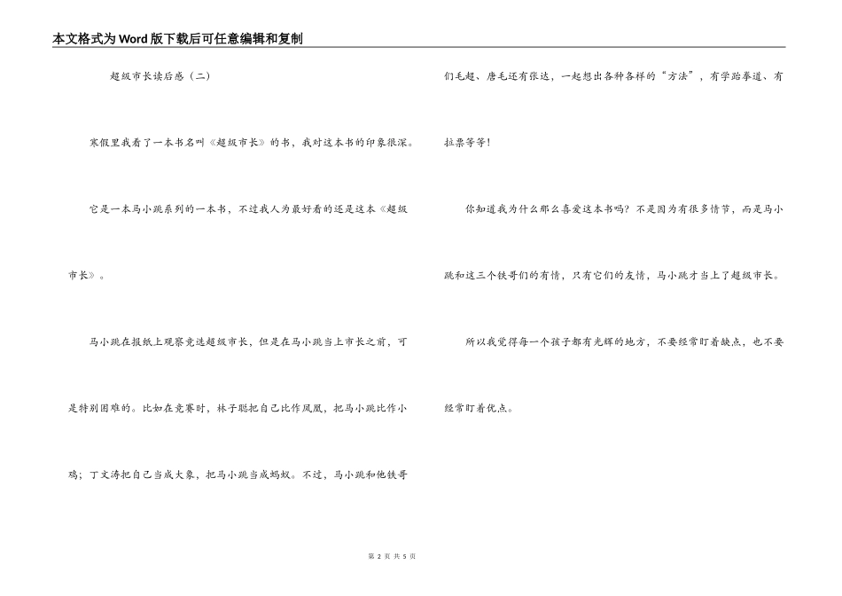 超级市长读后感_第2页