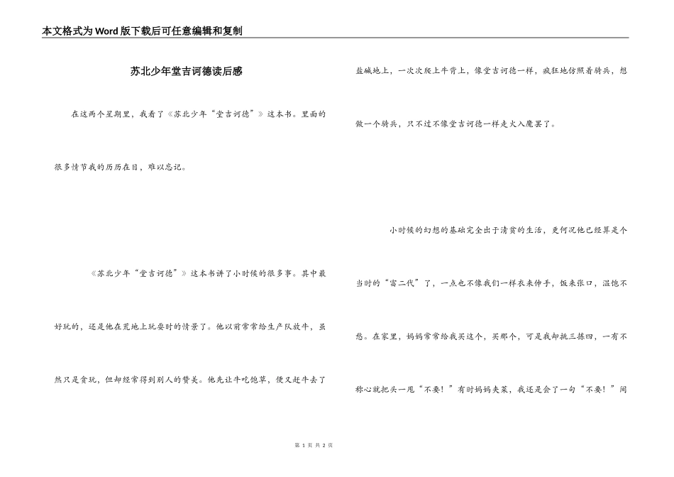 苏北少年堂吉诃德读后感_1_第1页