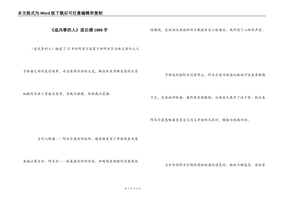 《追风筝的人》读后感1000字_第1页